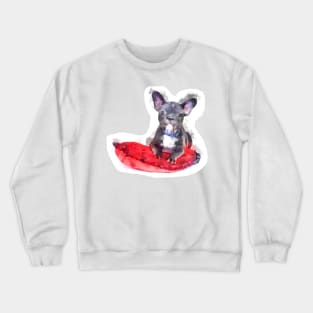 Cute Black And White Bulldog Puppy On A Red Cusion Digital Portrait Crewneck Sweatshirt